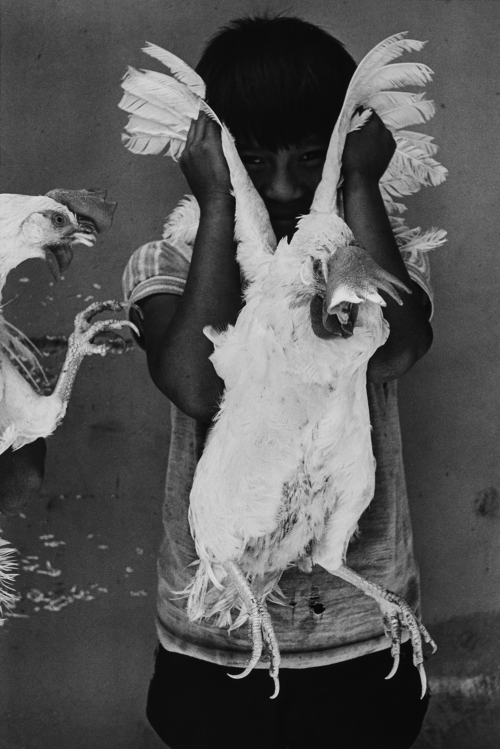 5 by Graciela Iturbide